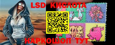 шишки Бузулук