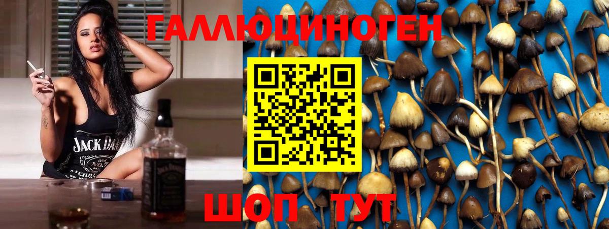 Псилоцибиновые грибы Cubensis  Вход с VPN  Луга 