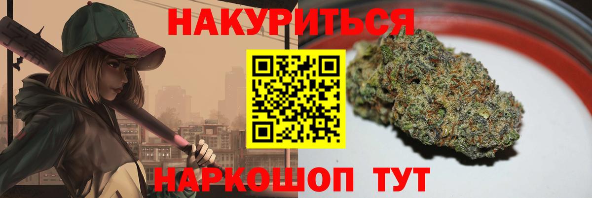 Каннабис SATIVA & INDICA Луга